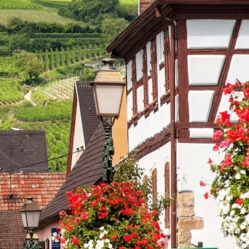 Besoin de vous ressourcer ? Notre gîte à Rouffach est l’endroit idéal. Classé 3 étoiles, cet hébergement climatisé dispose d’un espace privé avec Spa (Jacuzzi) pour des moments de relaxation inoubliables